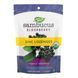 Sambucus Organic Zinc Lozenges - 24 cnt 2022-10-1092 фото 1