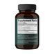 Reishi Mushroom 1000 mg - 60 vegcaps 2023-10-4389 фото 2