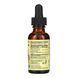 Echinacea Liquid - 30ml Orange 2022-10-1311 фото 2