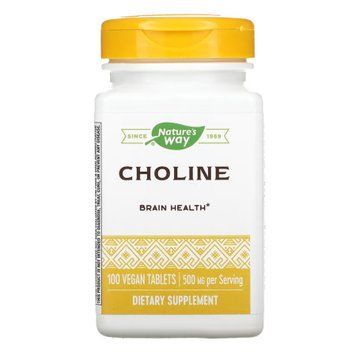 Choline 500 mg - 100 tabs 2022-10-1077 фото